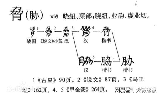 梦笔红楼②《红楼梦·葬花吟》为什么说“愿奴胁下生双翼”？(图1)