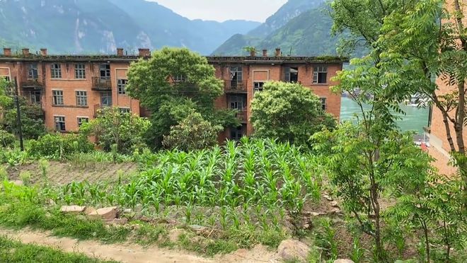 湖北废弃的核工厂昔日闹热员工过万如今没落院落种庄稼(图4)