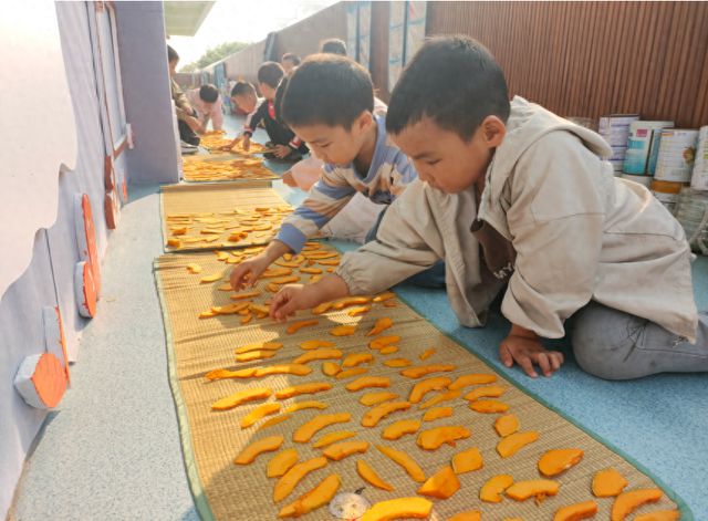 迎安镇中心幼儿园秋果二班开展“萌娃晒南瓜片趣味秋日体验”活动(图1)