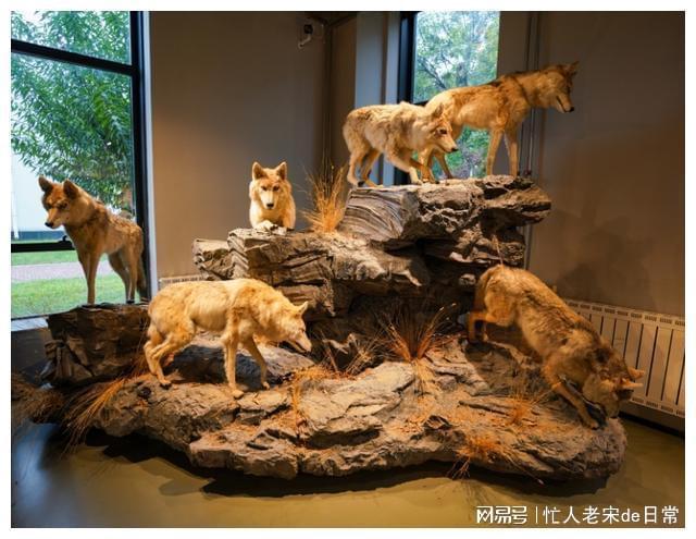 大厂有座“影视梦工厂”(图3)