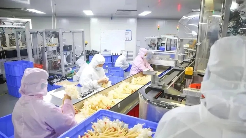 海口国家高新区：引领区域经济高质量发展新引擎(图3)