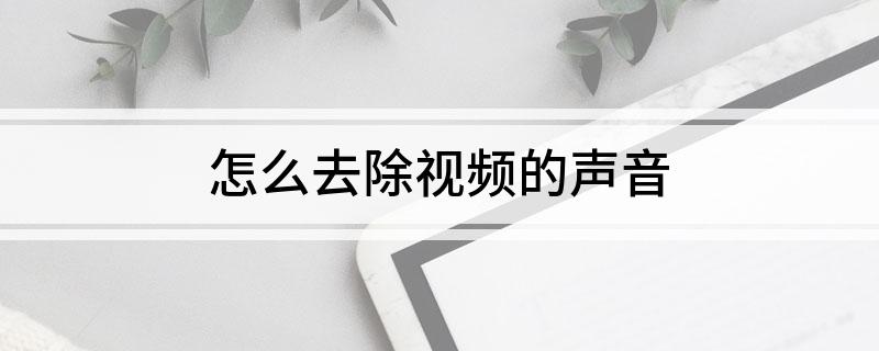 怎么去除的声音(图1)