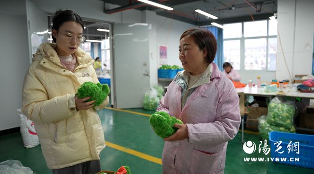 汉阴：以新社区工厂高质量发展稳就业促增收(图2)