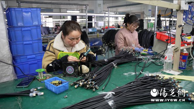 汉阴：以新社区工厂高质量发展稳就业促增收(图4)