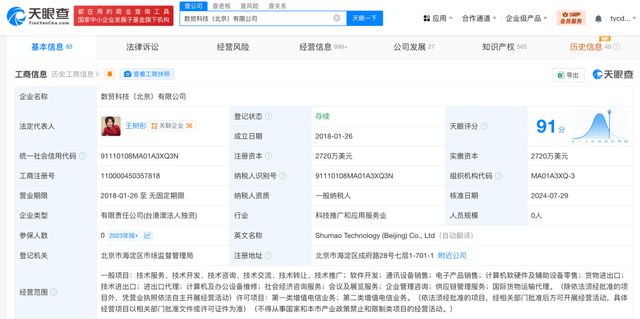 清华女老师微软最年轻高管！揭秘敦煌网创始人王树彤商业版图(图6)