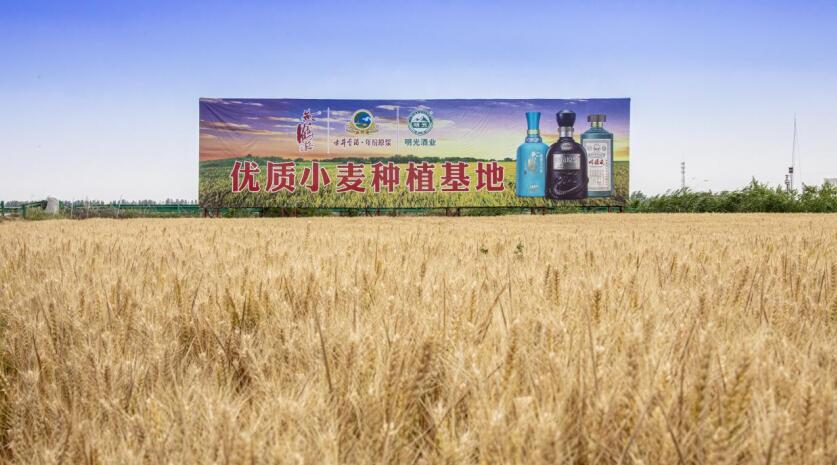 古井贡酒：以绿色酿造赋能白酒产业“零碳未来”(图1)