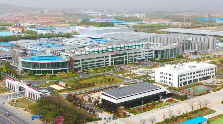 更懂你的口味青岛啤酒“智”酿全球好味道(图3)