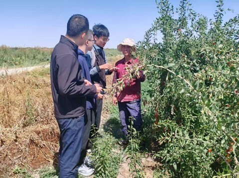 河海大学学子深入青海省格尔木市进行调研用青春脚步丈量戈壁绿洲之变(图4)