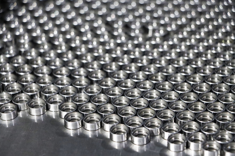 贵州独山：小轴承“转”出发展新速度(图1)