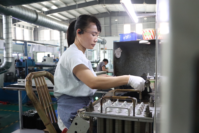 贵州独山：小轴承“转”出发展新速度(图3)