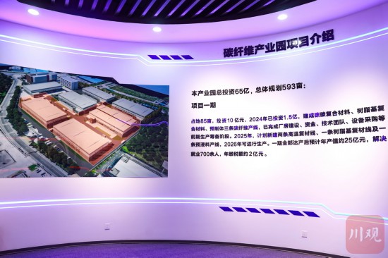 “雨城速度”引领招商新突破推动项目落地生根(图4)