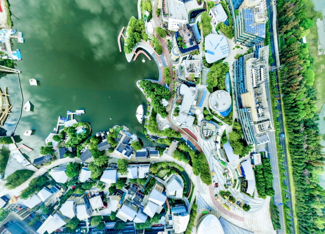 深圳经济发展高位攀登向上向好(图2)