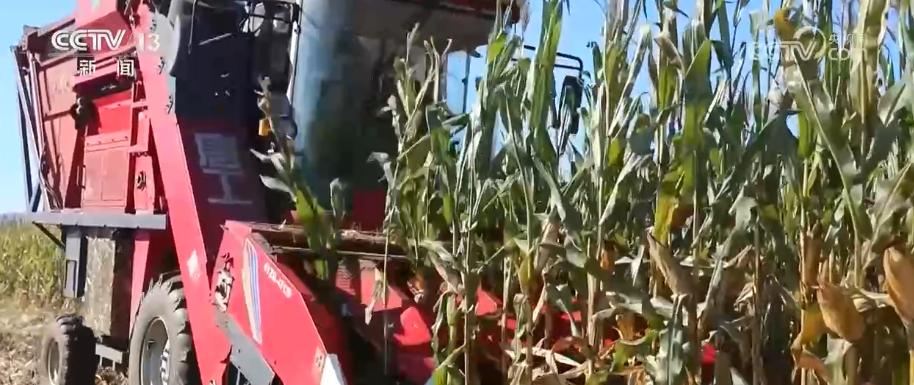 产业新观察·创新技术激活循环经济万亿级大市场绿色消费呈现新亮点(图17)