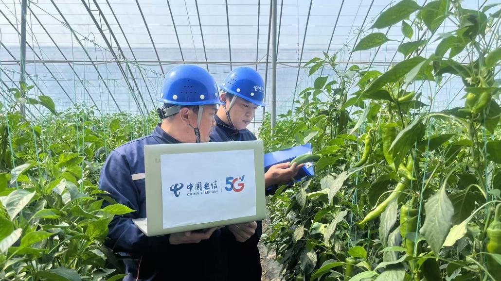 中国电信潍坊分公司荣获市工业数转智改突出贡献服务商一等奖(图2)