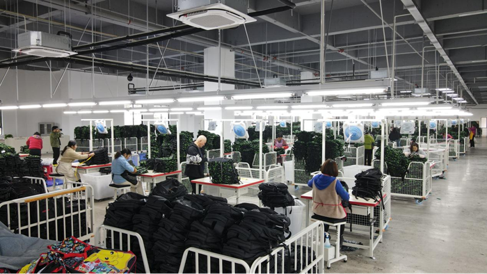 洲头“织”梦：十年坚守铸就产业筋骨(图1)