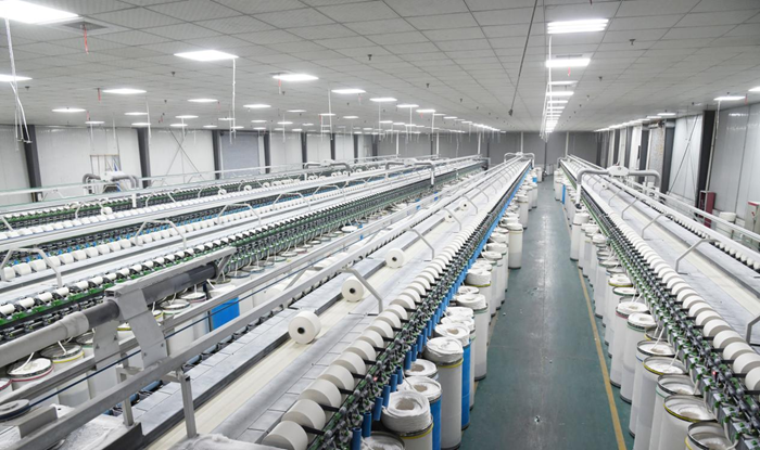 洲头“织”梦：十年坚守铸就产业筋骨(图2)