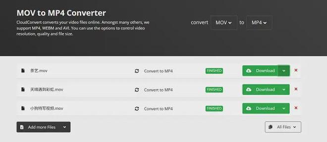 2025格式转换器大盘点：适合小白快速上手的7款转换器(图7)