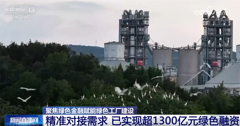 绿色金融政策精准“滴灌”绿色工厂融资助力美丽中国建设(图4)