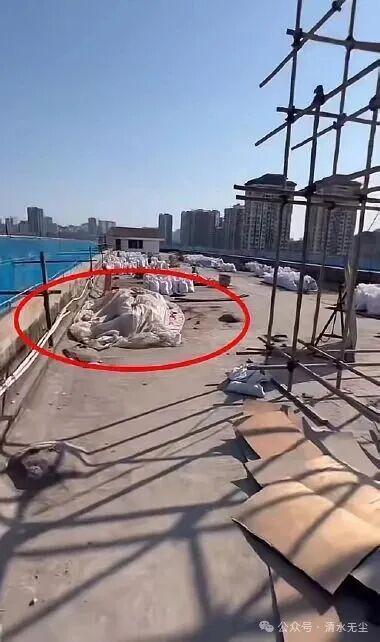 泸州花坛白骨案警方锁定陈某芬后全国户籍系统竟查无此人(图3)