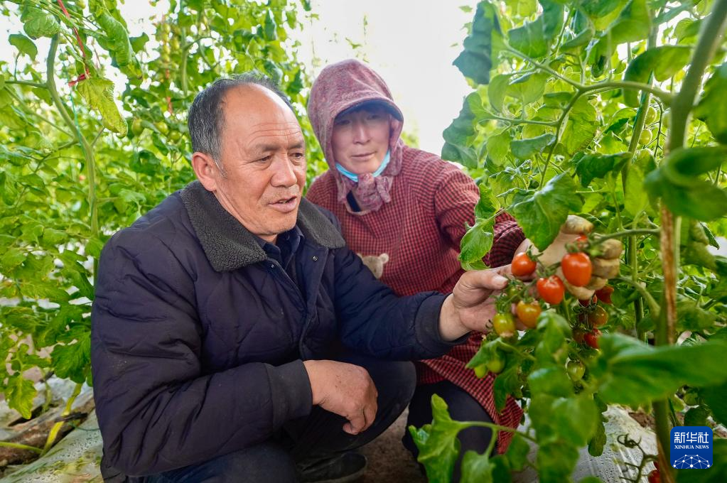 翻越千百年贫困的“大山”！“三本账”看西海固之变(图2)