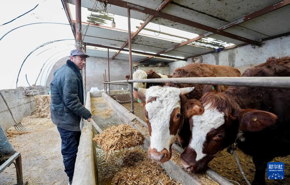 翻越千百年贫困的“大山”！“三本账”看西海固之变(图6)