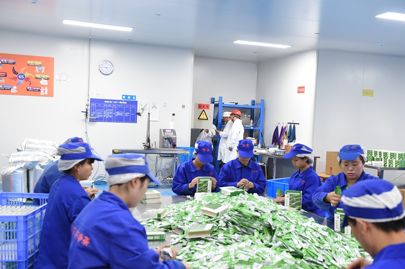 贵州电网公司为“梵净抹茶”香飘世界保驾护航(图2)